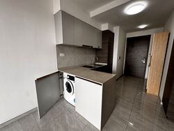 The Florence Residences (D19), Apartment #528168281